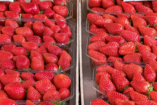 La gastronomie dans tous les sens - Les courts séjours